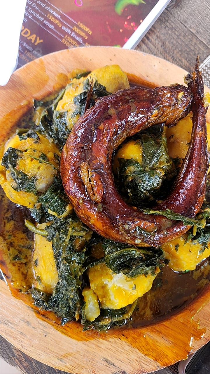  Porish Cocoyam